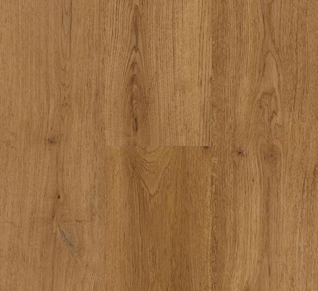 Berryalloc Zenn Gluedow 55 Caïro